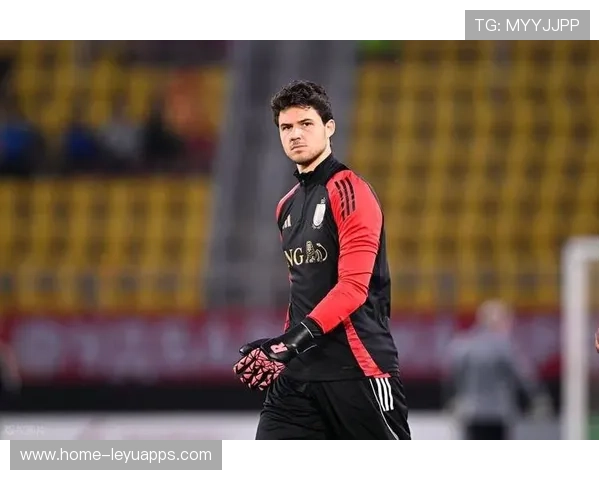 曼联若在冬窗补强成功将加速球队战术执行力恢复，曼联 冬窗